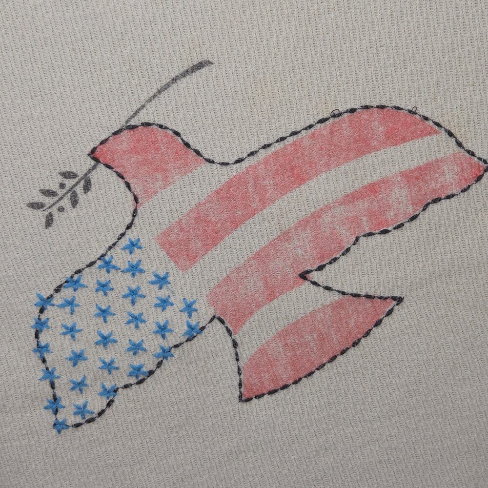 We The Free Free People M Cream Dove Flag Graphic Knit Americana Patriotic